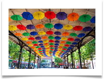 A SHOWER OF BROLLIES - Steve Hodson